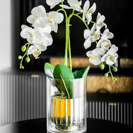 Nad Odra Gold Апартаменты Щецин