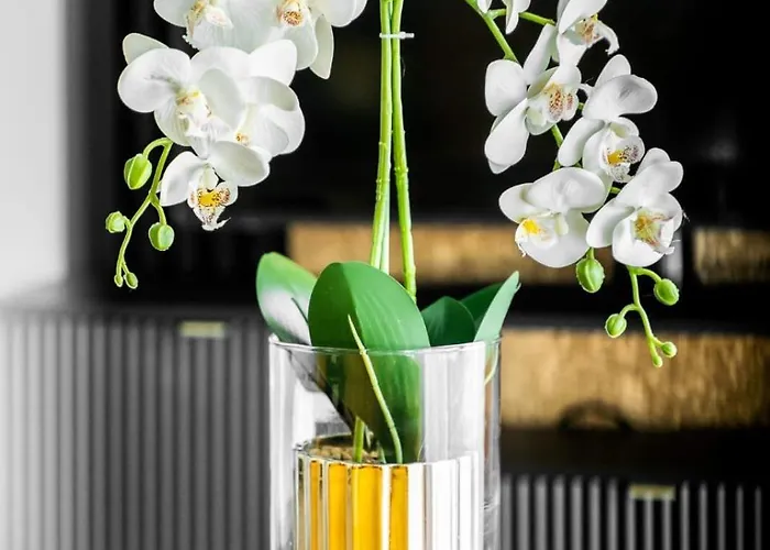 Nad Odra Gold Lägenhet *